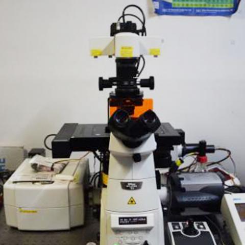 confocal